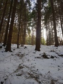 Les Pelhřimov