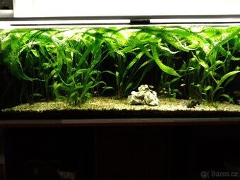 Akvárium 375L