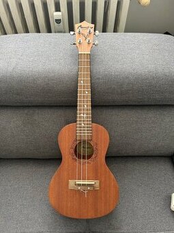 BAMBOO U-23 Eco