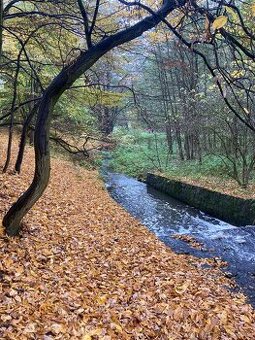 Pronájem pozemku v Semici u písku - 1