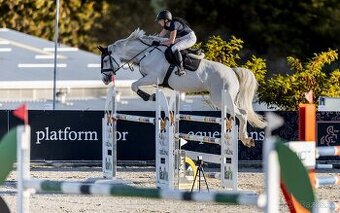 Poradenství v nákupu a prodeji na míru