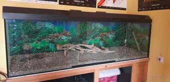 AKVÁRIUM 500 LITRŮ