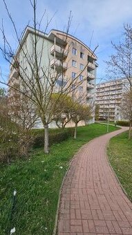 Baráčnická, 1+kk/L, 35m2, po rekonstrukci, vybavený, od 1.7.