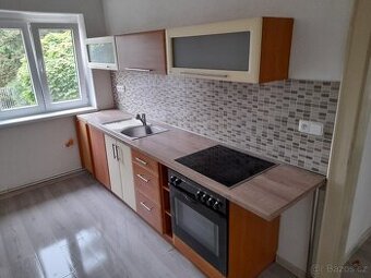 Pronajmu byt 3+1 v Holýšově
