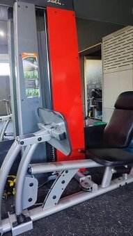 Biceps, triceps, prsa, leg - press