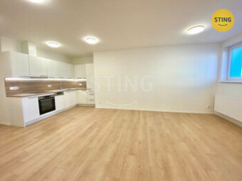 Pronájem bytu 3+kk v Opavě, 133949