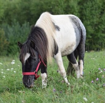 Deka výběhová 85 cm