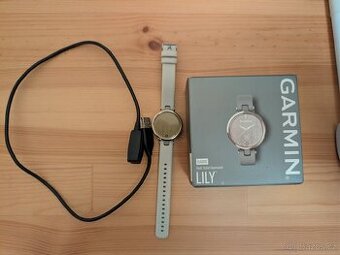Garmin lily