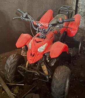 Čtyřkolka do 100kg