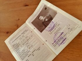 Starý Cestovní pas + další doklad