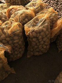 Sadbové brambory Adéla