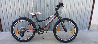 Superior Paint 20"