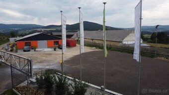 Pronájem skladových / výrobních prostor 825 m² – 10 minut od