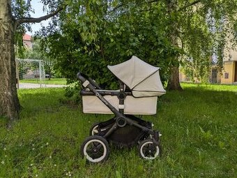 Buffalo Bugaboo