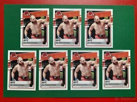Jiří Procházka UFC 2021 RATED ROOKIE / Pink + Silver