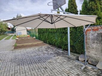 Velký slunečník