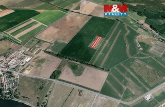 Prodej ovocného sadu, 5910 m², Pasohlávky