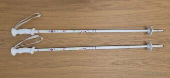 Dětské sjezdové hole