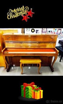 August Forster-Dovoz zdarma i na Štědrý 24.12.