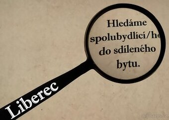 Neprůchozí jednolůžkový pokoj v centru Liberce