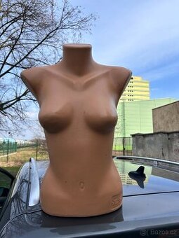Dámské torzo / figurína