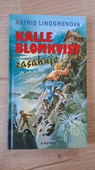 Kniha KALLE BLOMKVIST ZASAHUJE