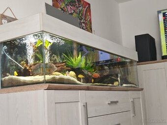 Akvárium 180×40×35 cm