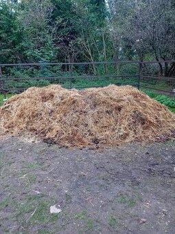 Koňský hnůj zdarma