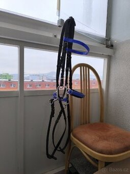 Uzdečka hackamore