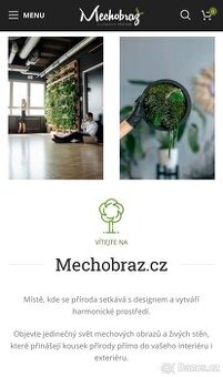 Mechobraz