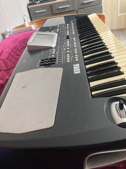 Korg pa 500 - 1