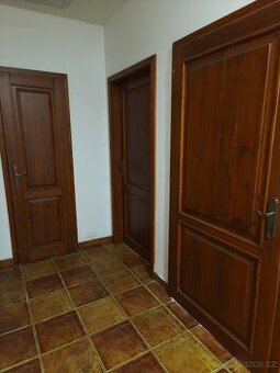 Dveře masiv/ více druhů