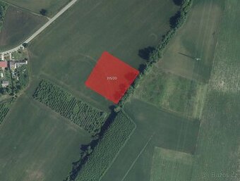 Sady, vinice, prodej, Nové Mlýny, Přítluky, Břeclav