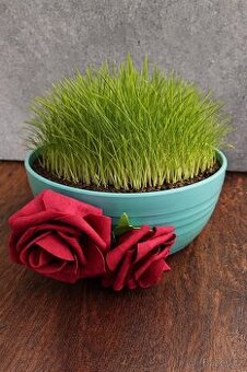 Velikonoční osení - 1