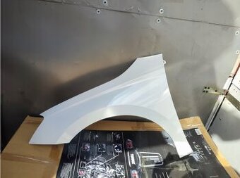 LEVÝ PŘEDNÍ BLATNÍK ŠKODA FABIA IV 4 PJ OD 07.21R - LAK LF9E