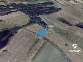 Pole 6 113 m²