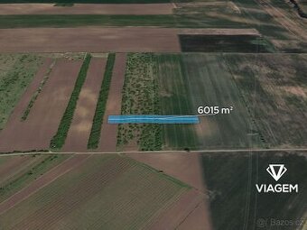 Pole 6 015 m², Podíl 17 % o výměře 1 003 m²