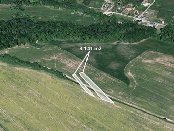 Pole 3 141 m², Podíl 25 % o výměře 785 m²