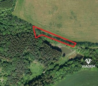 Les 2 704 m², Podíl 50 % o výměře 1 352 m²