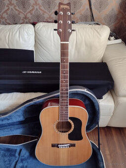 akustická kytara Washburn D9