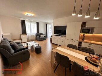 Pronájem, byty/2+kk, 60 m2, Inženýrská, Jižní Předměstí, 301