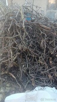 Daruji větve a větvičky z ořešáku