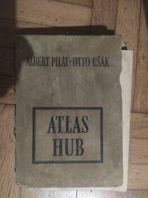 Atlas hub - 1