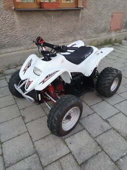 Access DRR 100 Race