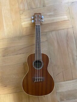 Koncertnî ukulele