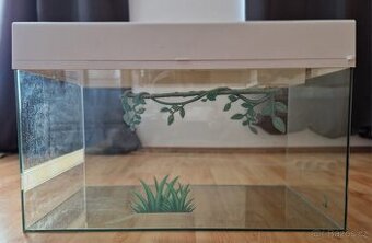 Terarium Lucky Reptile Bearded Dragon - 1