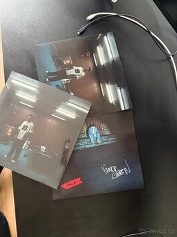 VIKTOR SHEEN - Impostor Syndrom, PODEPSANÝ VINYL