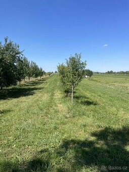 Prodám zatravněnou ornou půdu 2200m² - 1