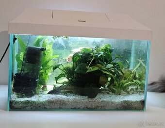 Akvárium Aquael 40x25x25