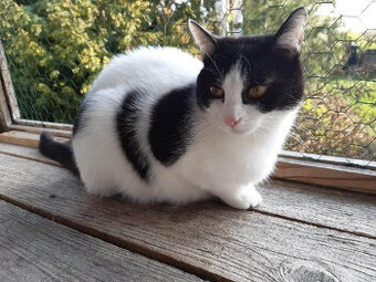 Dcerka Rozárka a mamka Macinka čekají na domov